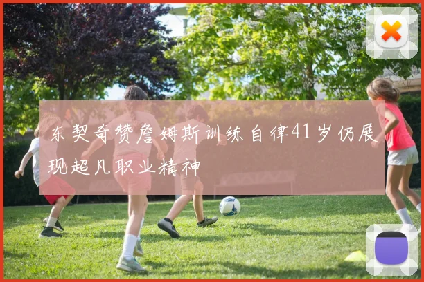 东契奇赞詹姆斯训练自律41岁仍展现超凡职业精神